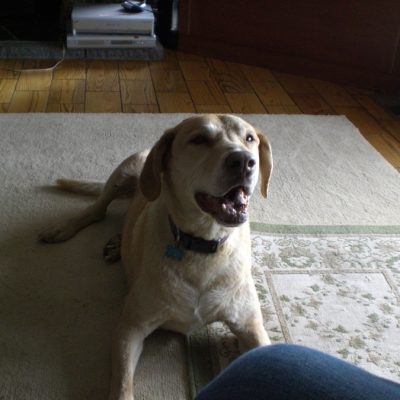 max